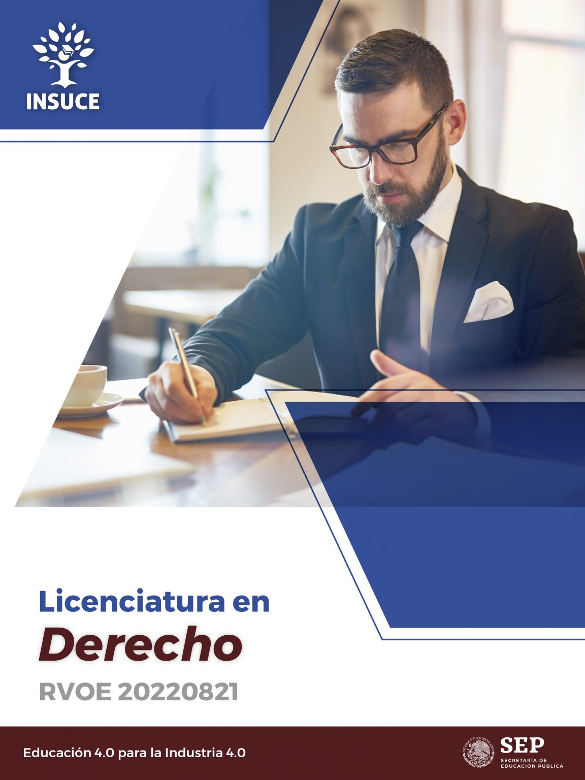 Licenciatura Derecho Insuce