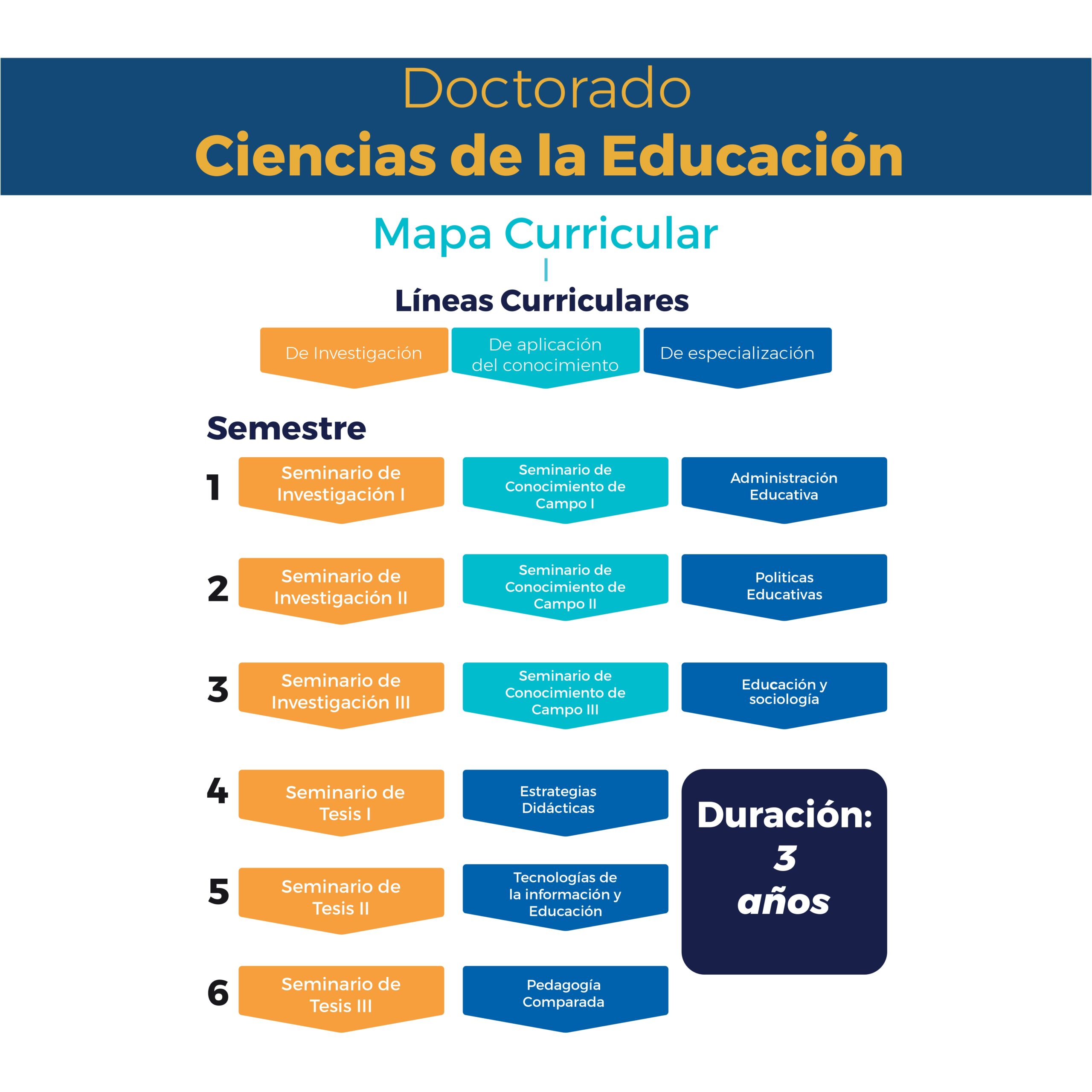 Mapa Curricular - Licenciatura en Derecho