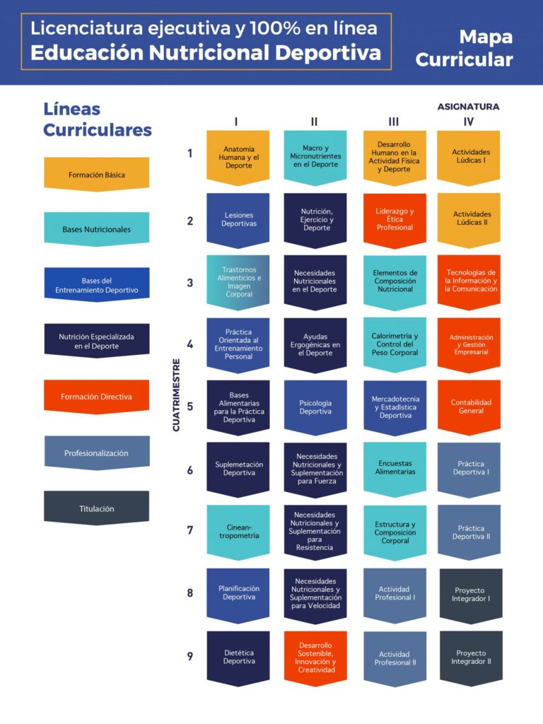Plan de estudios END